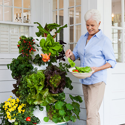 Grow Fruit, Veggies and Herbs on your patio or balcony